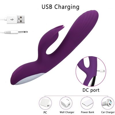 USB Aufladung 	Geschwindigkeit 22.5cm Vibrator-Sex-Toy Healthy Silicones 10