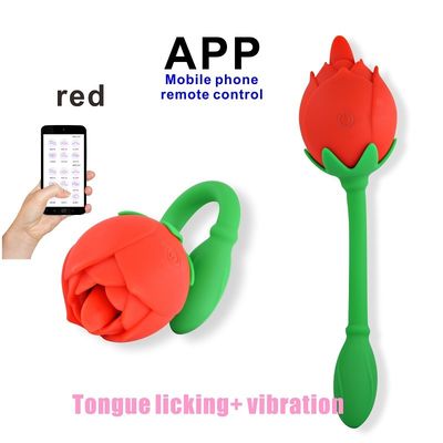 Nippel, der Vibrator-Sex-Spielzeug APP-Steuer-45dB lärmarmes vibrierendes Ei saugt