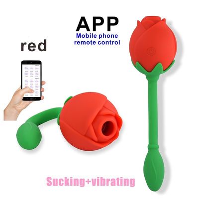 Stellen-Anregungs-Clitoral saugendes Gerät IPX6 Rose Clitoral Sucker Vibrator Sex Toy Vagina G