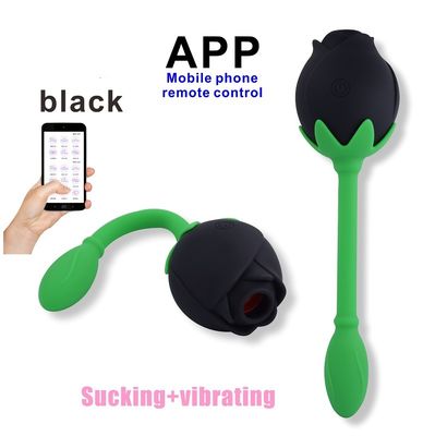 Stellen-Anregungs-Clitoral saugendes Gerät IPX6 Rose Clitoral Sucker Vibrator Sex Toy Vagina G